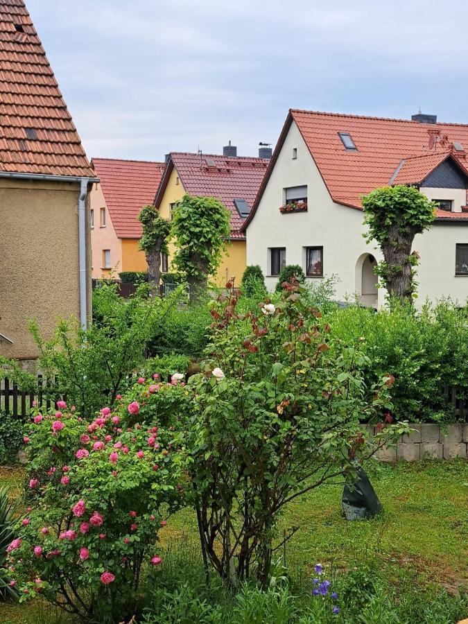 Ferienwohnung Rosengarten Баленщед Екстериор снимка